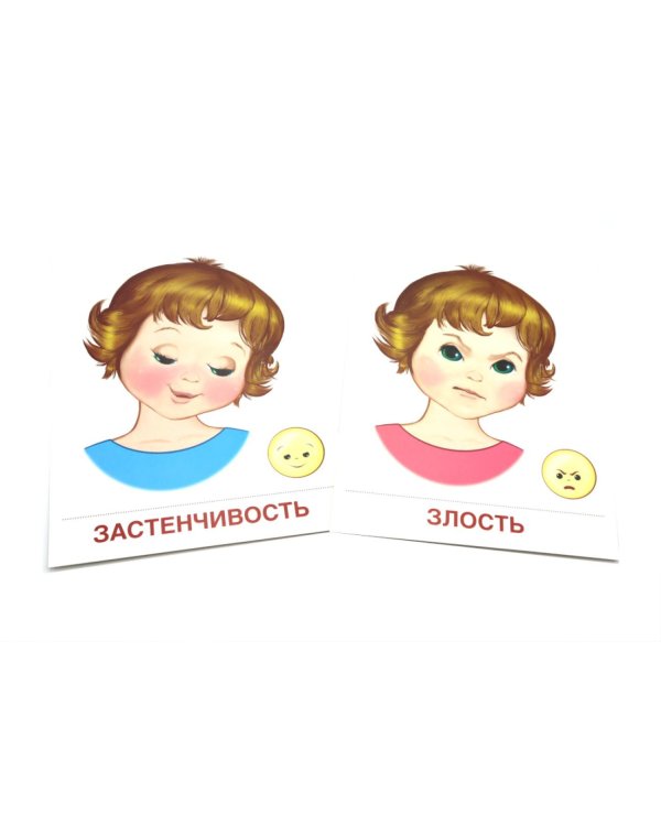 Чувства и эмоции. 16 демонстрационных картинок с текстом на обороте