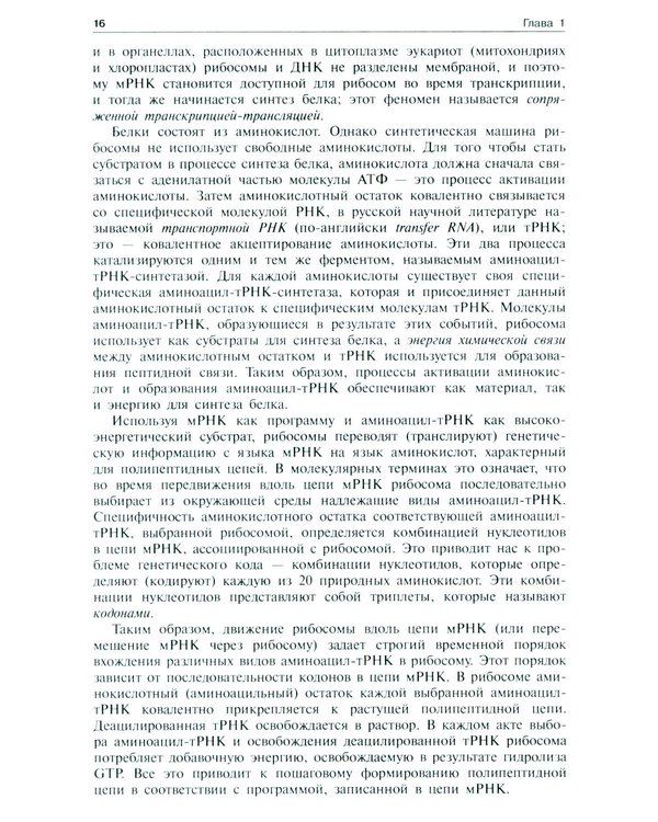 Дополнительное изображение книги «Молекулярная биология. Рибосомы и биосинтез белка: Учебное пособие. 4-е изд»