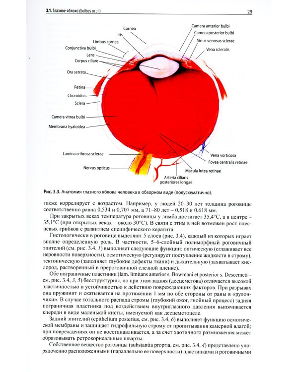 Клиническая офтальмология. 5-е изд., перераб. и доп. (пер.)