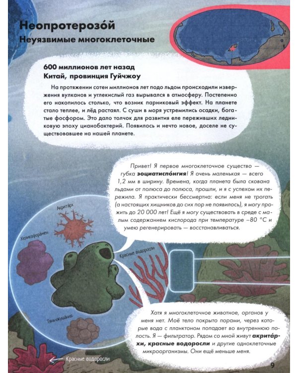 Как человек стал человеком: наглядная история развития жизни на Земле