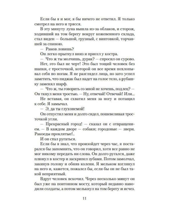 Два капитана: роман