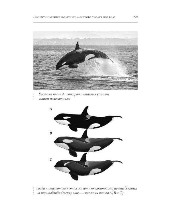 Великие вымирания