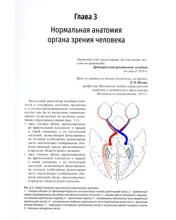 Клиническая офтальмология. 5-е изд., перераб. и доп. (пер.)