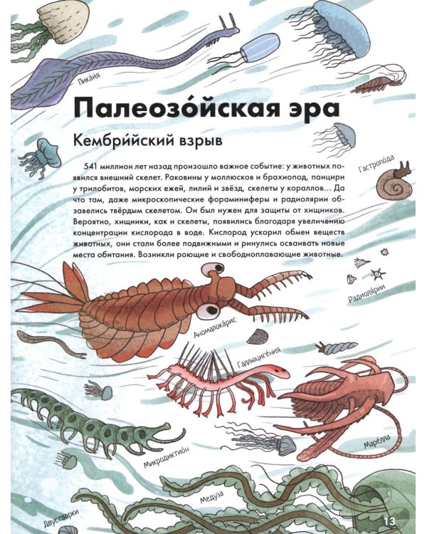 Как человек стал человеком: наглядная история развития жизни на Земле