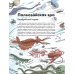 Как человек стал человеком: наглядная история развития жизни на Земле