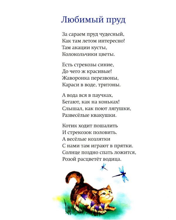 Небесные веснушки