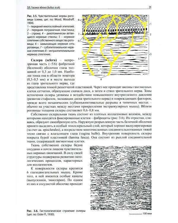 Клиническая офтальмология. 5-е изд., перераб. и доп. (пер.)