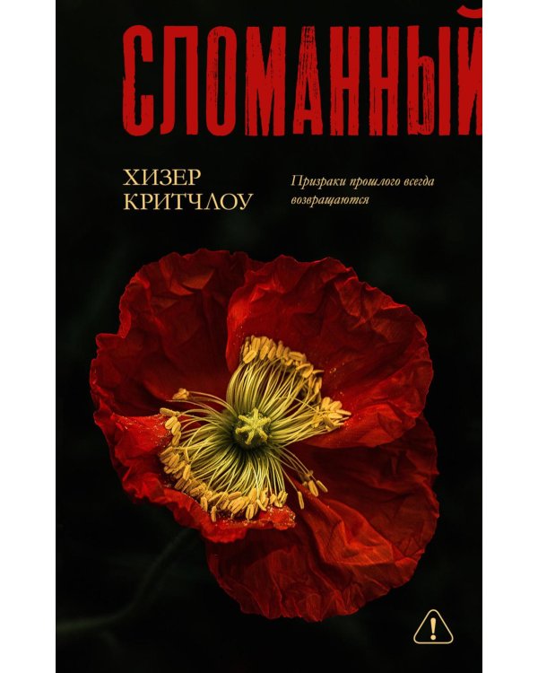 Дополнительное изображение книги «Сломанный»