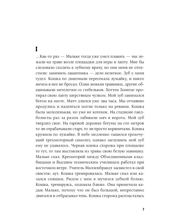 Кошки-мышки: новелла