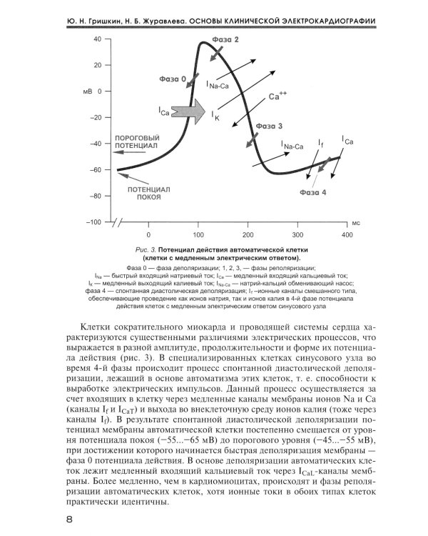 Основы клинической электрокардиографии