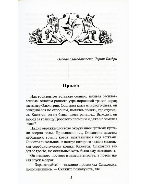 Коты-воители. Расколотое небо