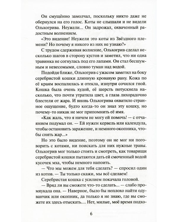 Коты-воители. Расколотое небо