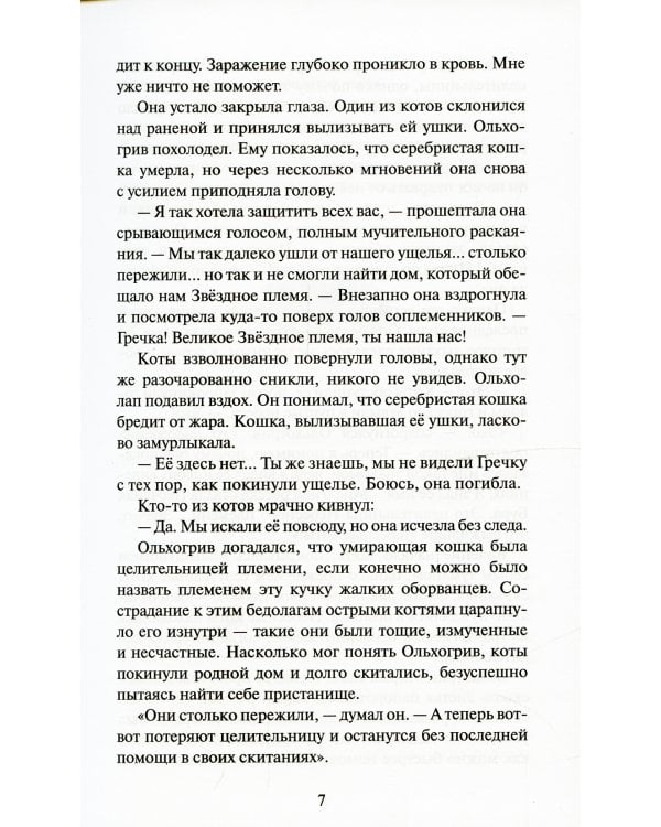 Коты-воители. Расколотое небо