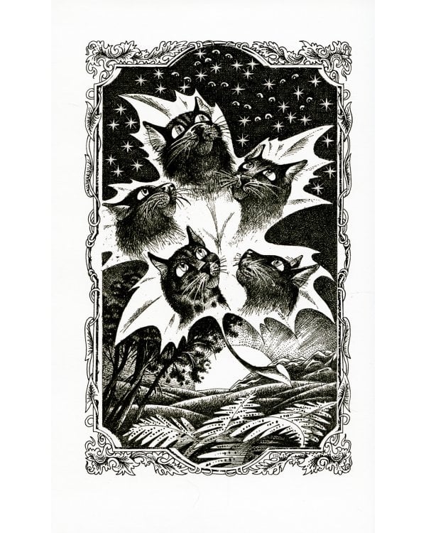 Коты-воители. Расколотое небо