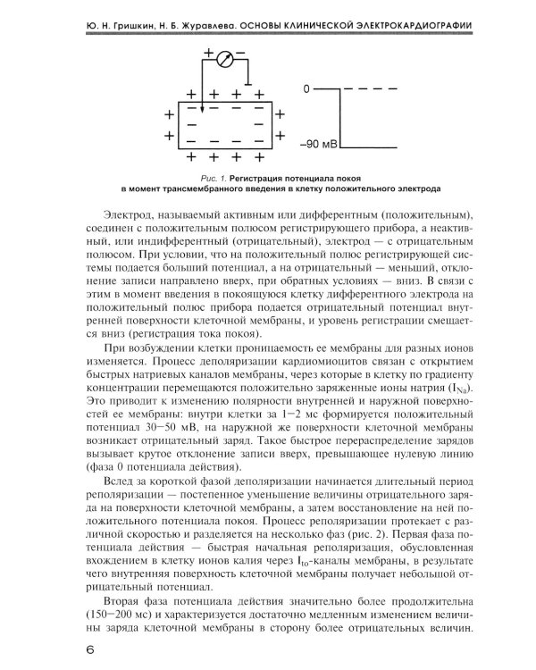 Основы клинической электрокардиографии
