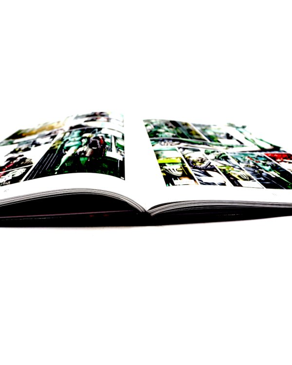 Регулятор. Т. 1-2 (комплект из 2-х книг)