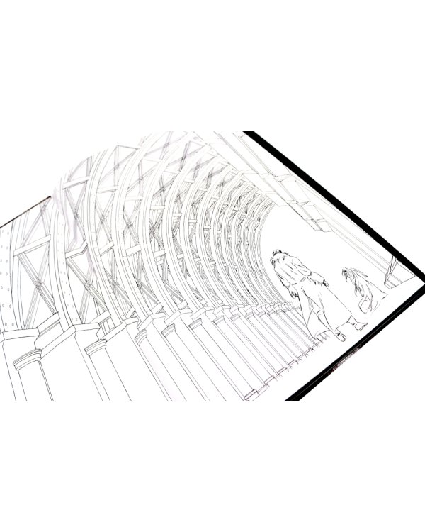 Регулятор. Т. 1-2 (комплект из 2-х книг)