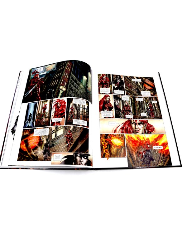 Регулятор. Т. 1-2 (комплект из 2-х книг)