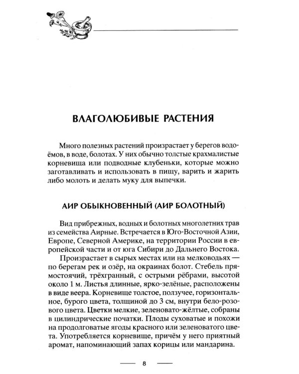 Блюда из дикорастущих растений. Неиссякаемый источник витаминов к вашему столу