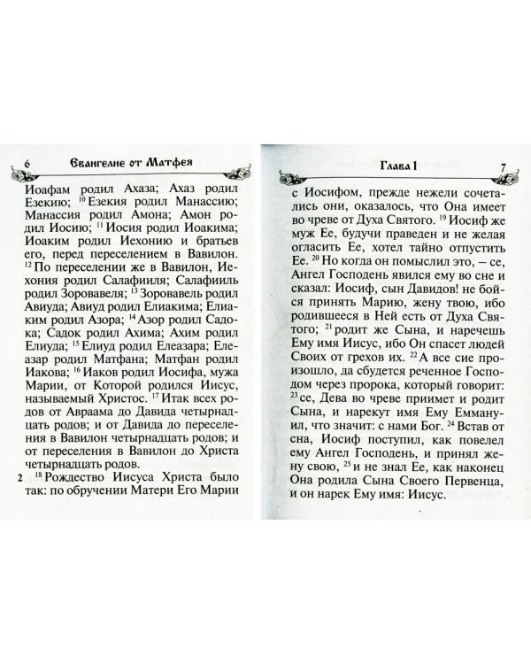 Святое Евангелие. (бордо)
