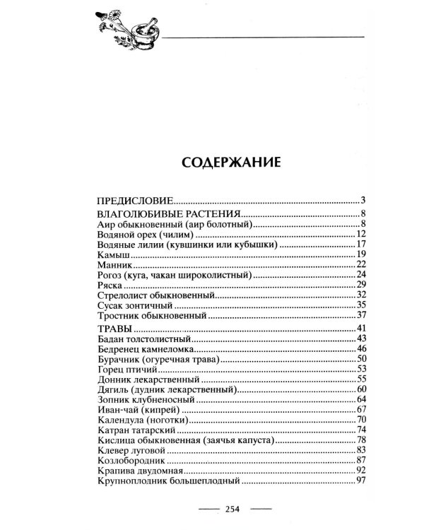 Блюда из дикорастущих растений. Неиссякаемый источник витаминов к вашему столу