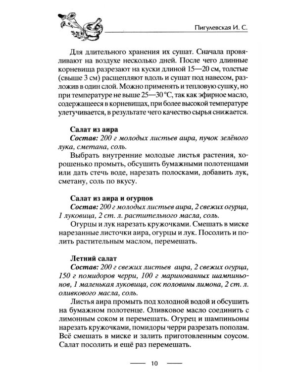 Блюда из дикорастущих растений. Неиссякаемый источник витаминов к вашему столу