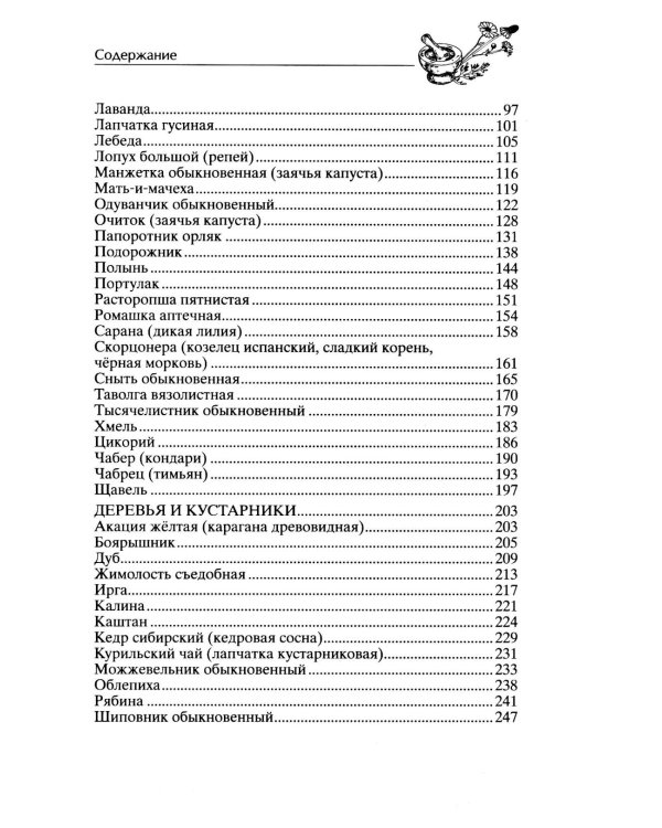 Блюда из дикорастущих растений. Неиссякаемый источник витаминов к вашему столу