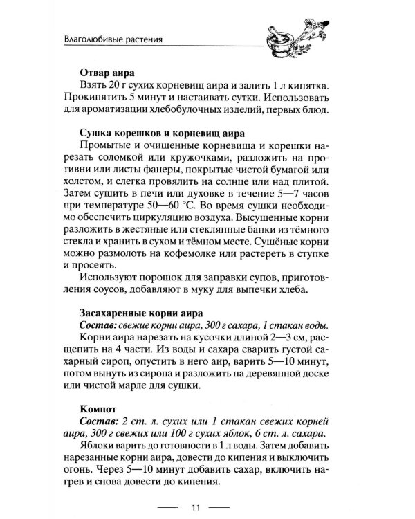 Блюда из дикорастущих растений. Неиссякаемый источник витаминов к вашему столу