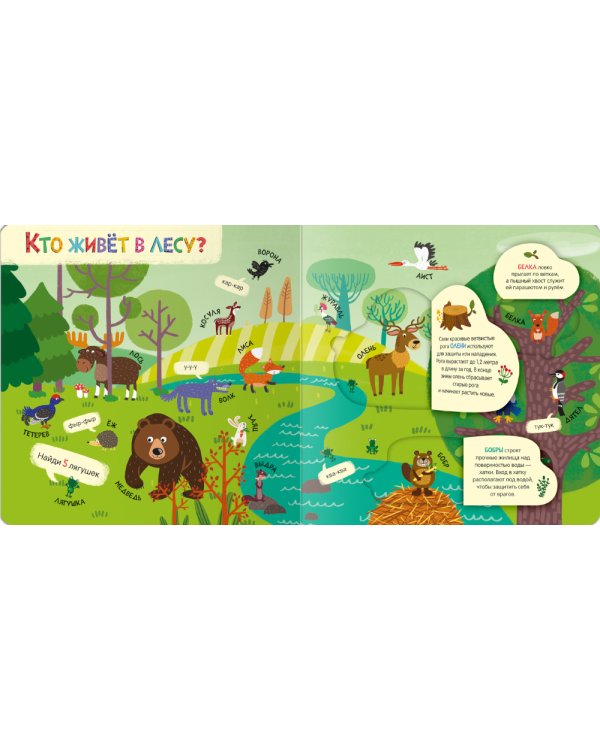 Книжки с окошками. Мир животных