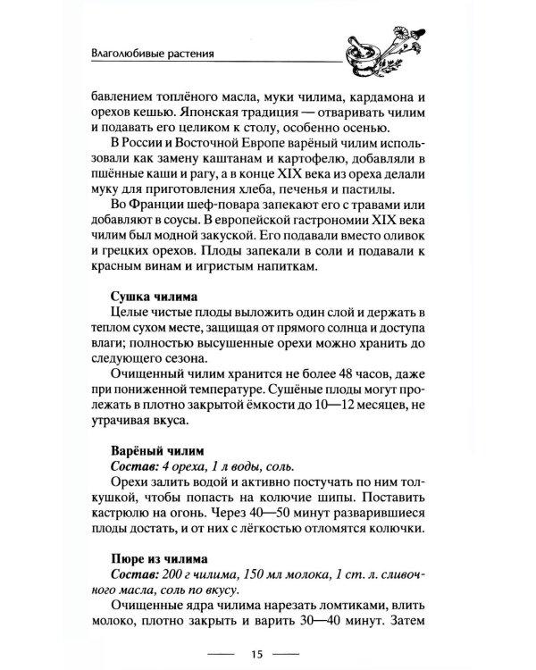 Блюда из дикорастущих растений. Неиссякаемый источник витаминов к вашему столу