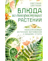 Блюда из дикорастущих растений. Неиссякаемый источник витаминов к вашему столу