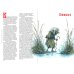 Дополнительное изображение книги «Мифические существа Руси»