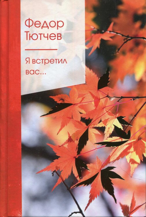 Золотая серия поэзии Я встретил вас...
