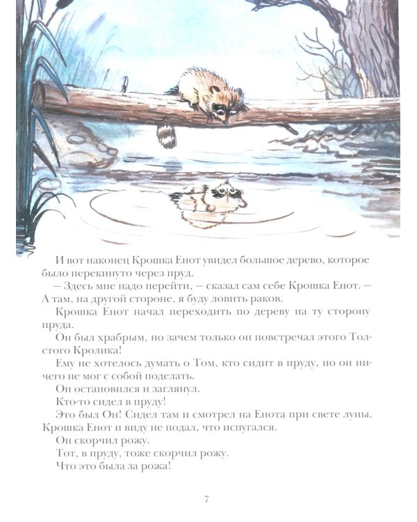 Крошка енот и тот, кто сидит в пруду: сказка