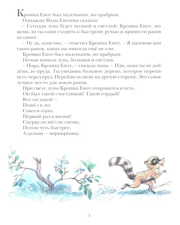 Крошка енот и тот, кто сидит в пруду: сказка