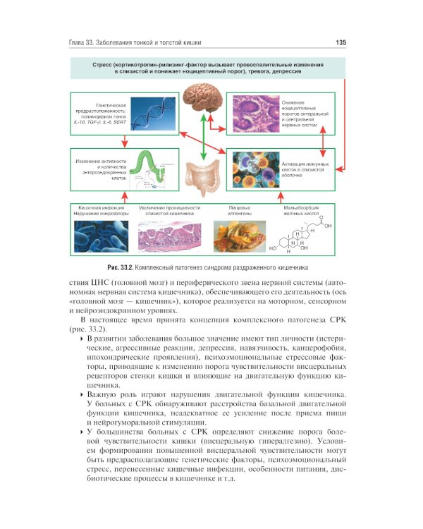 Внутренние болезни. Том 2. Учебник