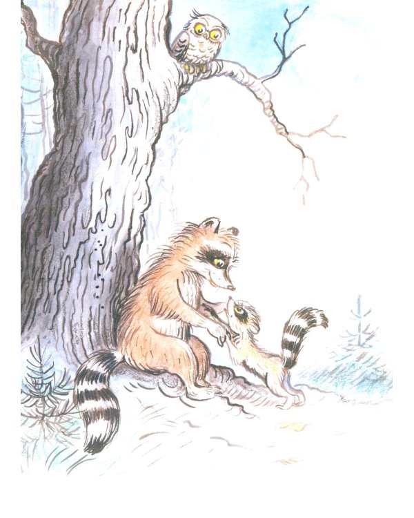 Крошка енот и тот, кто сидит в пруду: сказка