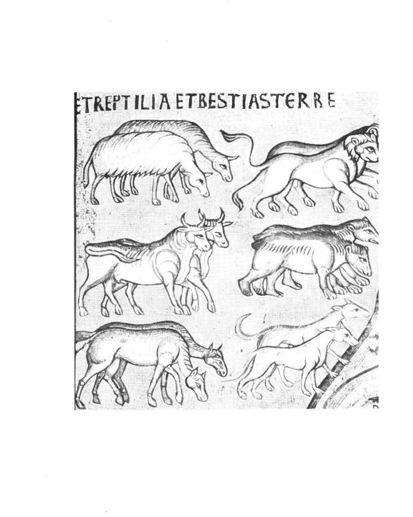 Братья наши меньшие. Учение о животных в Православии