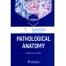 Pathological Anatomy = Патологическая анатомия: textbook. (кн. на англ. яз.)