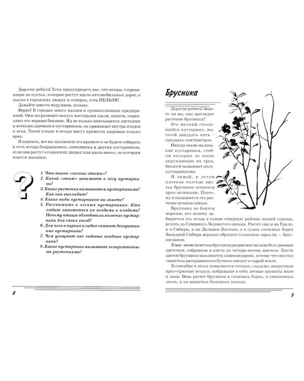 Кустарники. Какие они? Книга для воспитателей, гувернеров и родителей