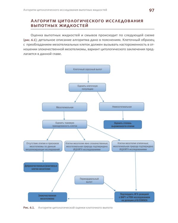 Международная классификация цитопатологии выпотных жидкостей