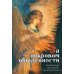За покровом обыденности. Взгляд на мир через призму Духовных учений