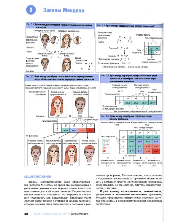 Наглядная медицинская генетика. 2-е изд., перераб. и доп
