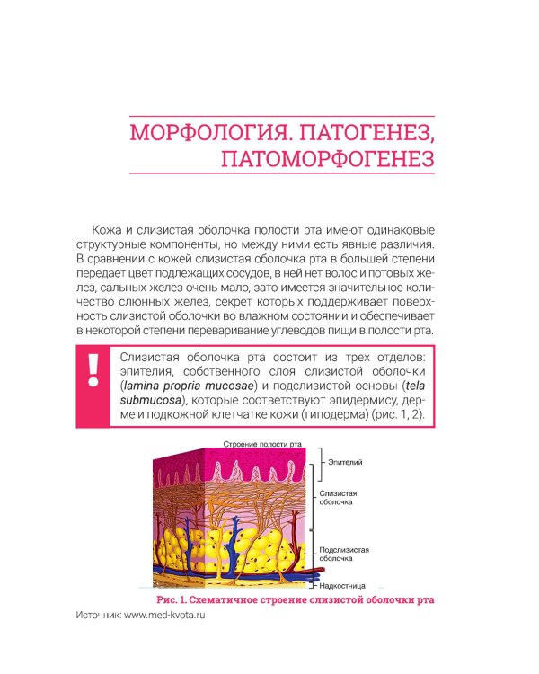 Дерматостоматология. Заболевания слизистой оболочки рта и губ