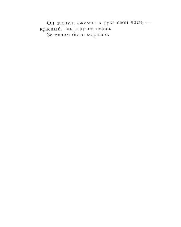 Дополнительное изображение книги «Снег: роман»