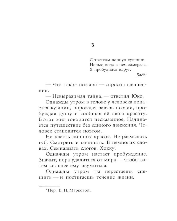 Дополнительное изображение книги «Снег: роман»