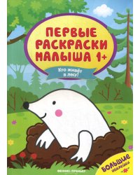 Кто живет в лесу?: книжка с наклейками