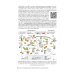 Микронутриенты против коронавирусов: вчера, сегодня, завтра Микронутриенты против коронавирусов: вчера, сегодня, завтра