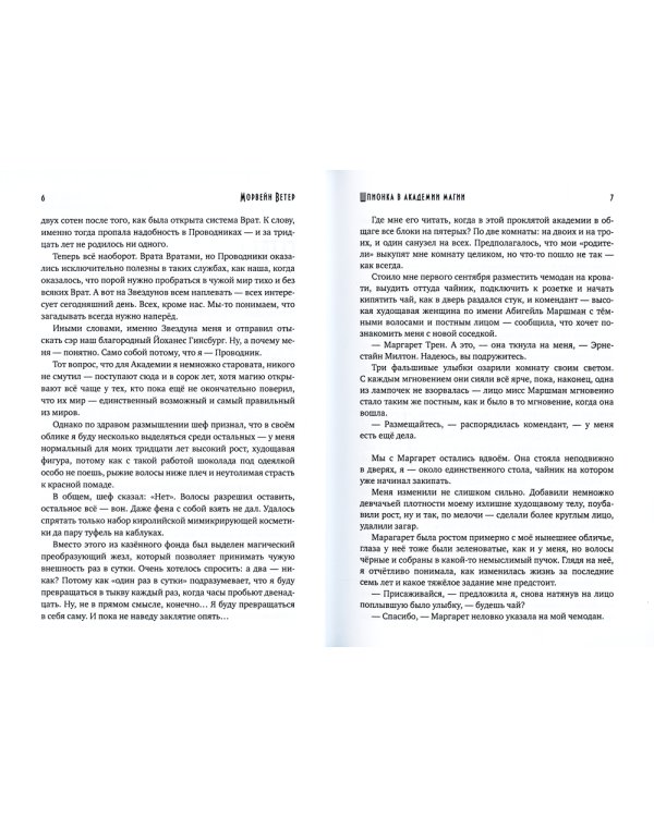 Шпионка в академии магии