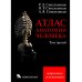 Атлас анатомии человека. В 3 т. Т. 3: Неврология. Эстезиология: Учебное пособие. 7-е изд., перераб
